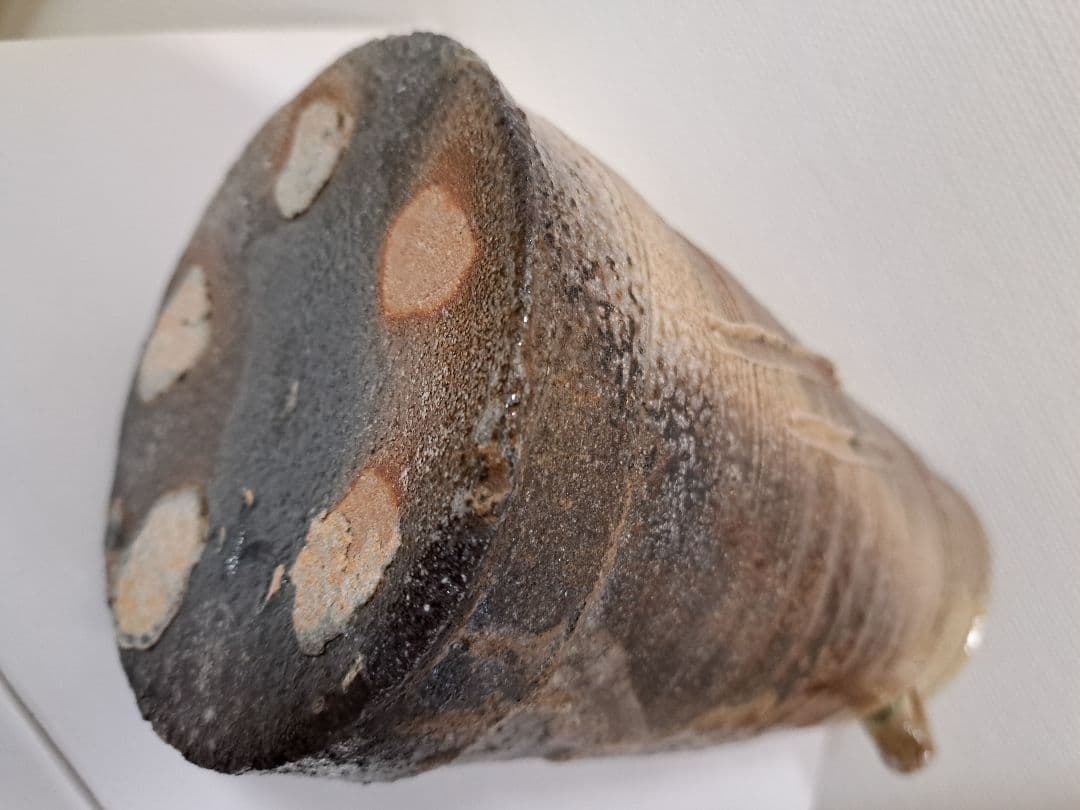 耳付花入 信楽名品 今井康人作