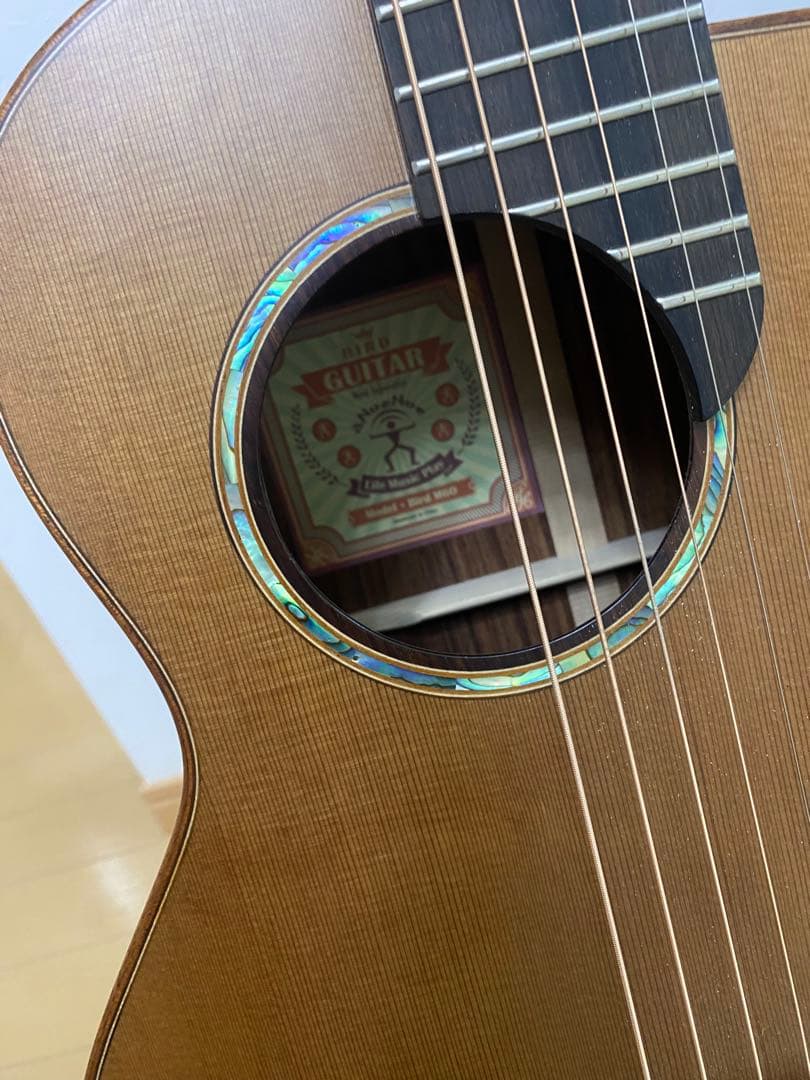 aNueNue （アヌエヌエ） M60 ギター杉田健二監修ミニギター