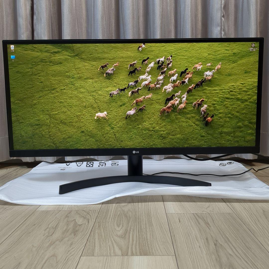 ウルトラワイドモニター LG 29WL500-B 29インチ IPSパネル