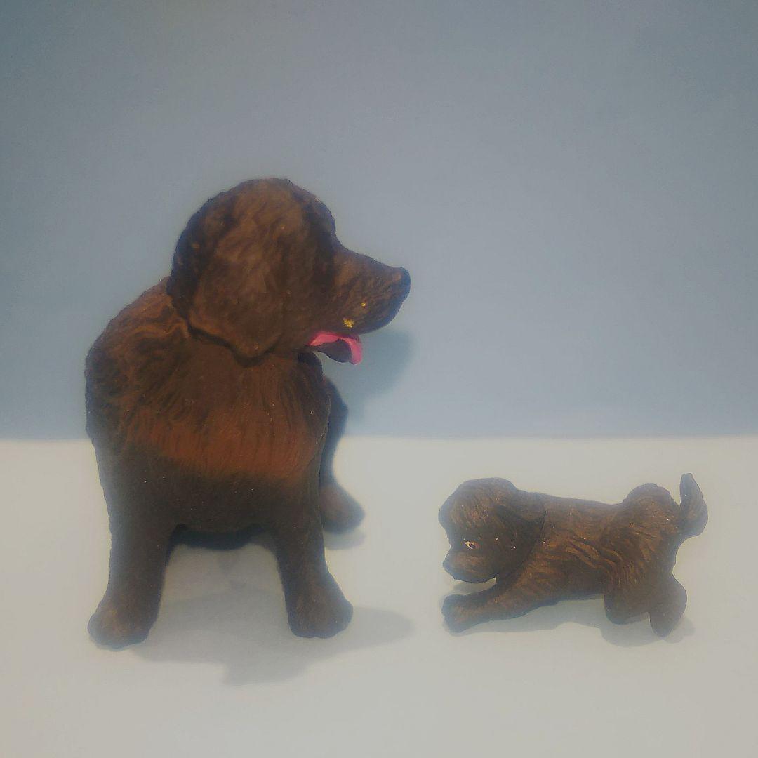 ニューファンドランド（親子）【犬】ユージン