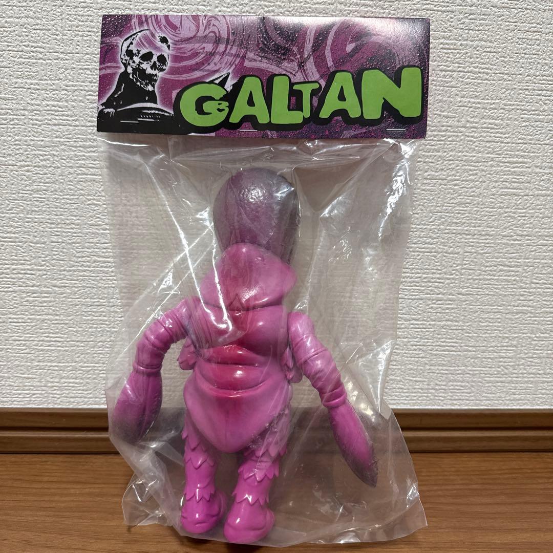 ガルタン ゾルメンGALTAN Adore x ZOLLMEN バレンタイン