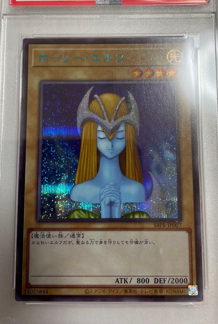 【PSA10】ホーリーエルフ ブルシク ブルーシークレット BGS ARS