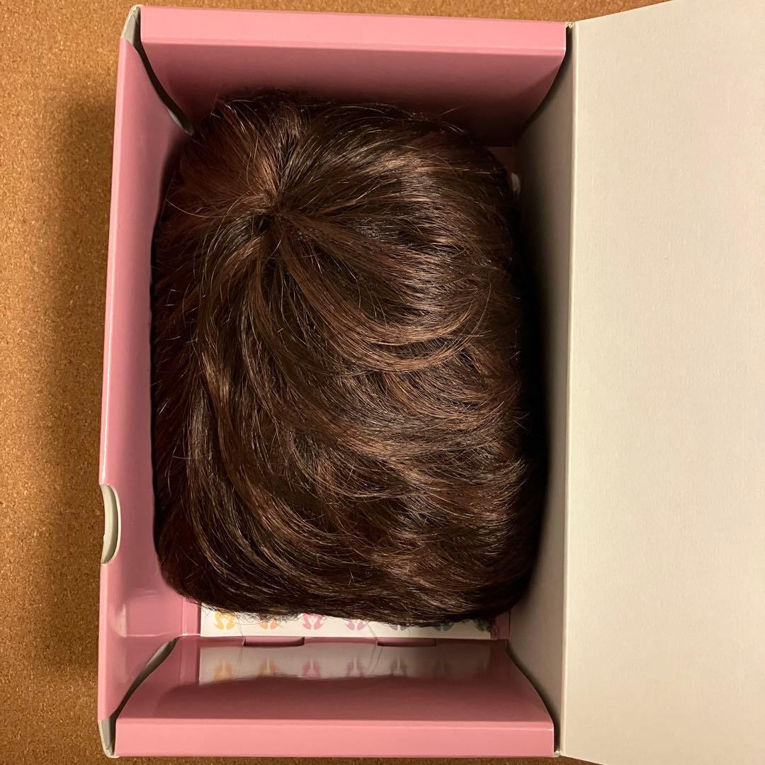 【新品未使用】レオンカ ウィッグ EX-14 F-3