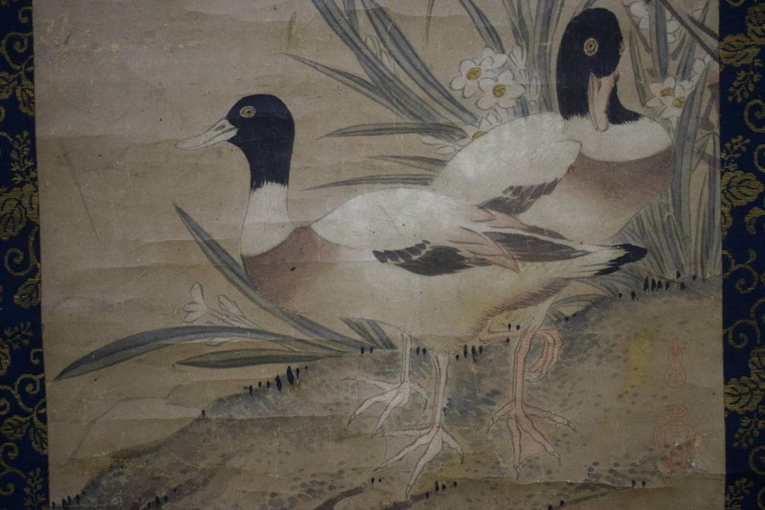真作/狩野探幽/鴨の図/絹表装/布袋屋掛軸HH-508