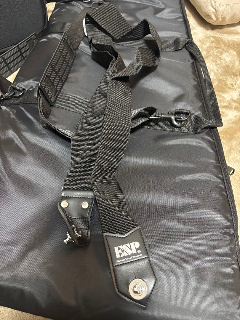 バンドリESP 氷川沙夜ギターとおまけ