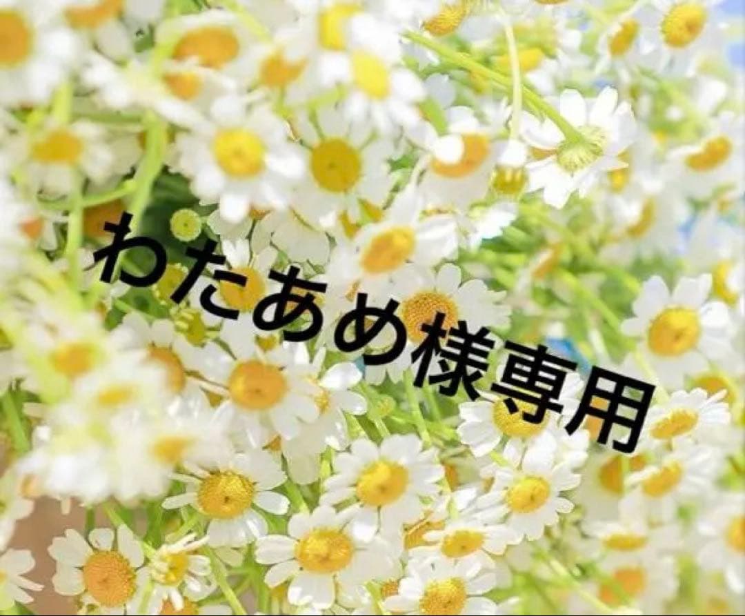 わたあめすのチル＆すのチルぶら下がらないシリーズ向井康二