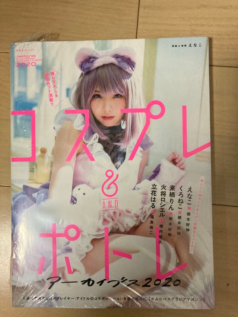 えなこ　クリアファイルセット　その他