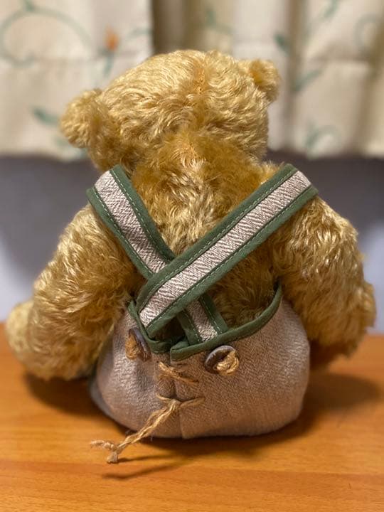 テディベア　シギキッド