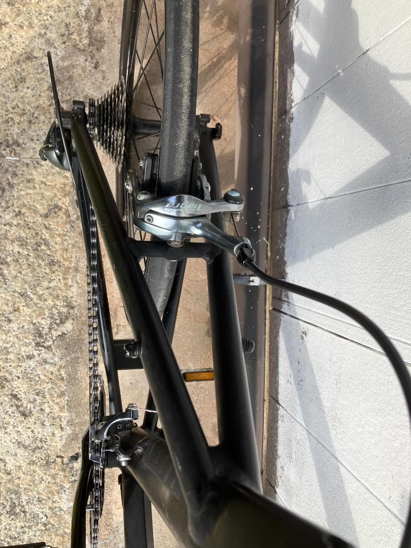 Tern SURGE 52サイズ　10速カスタム　JR大津駅手渡し限定