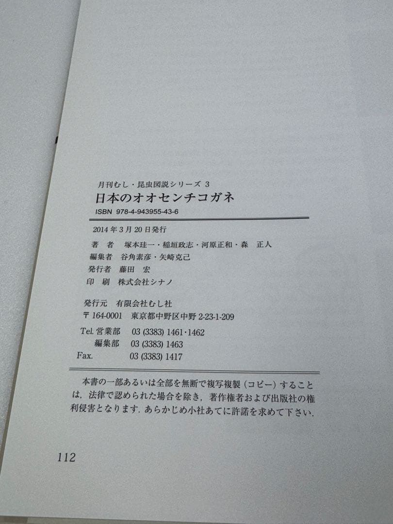 【むし社】日本のオオセンチコガネ