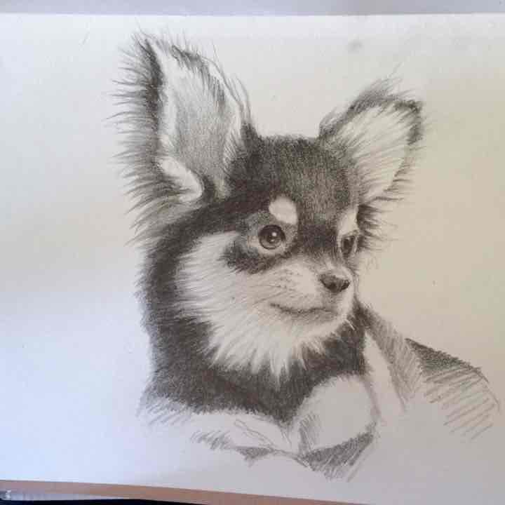 ペットの肖像画