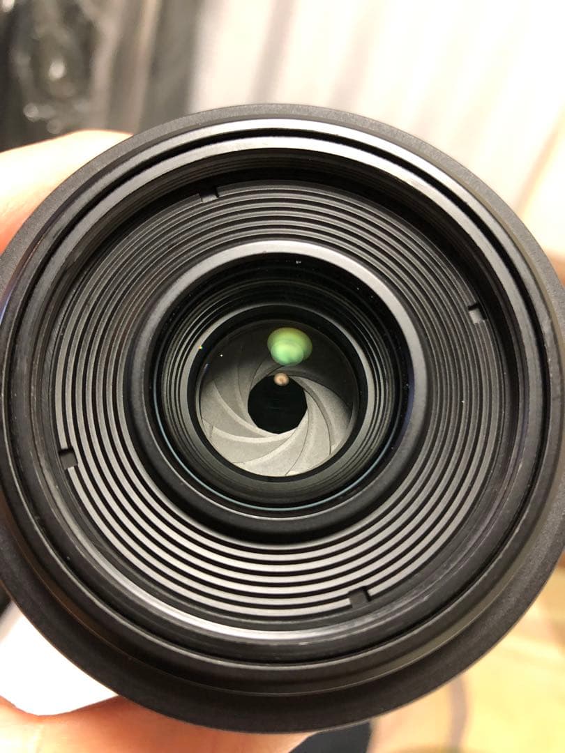 Canon RF35mm F1.8 MACRO 単焦点レンズ