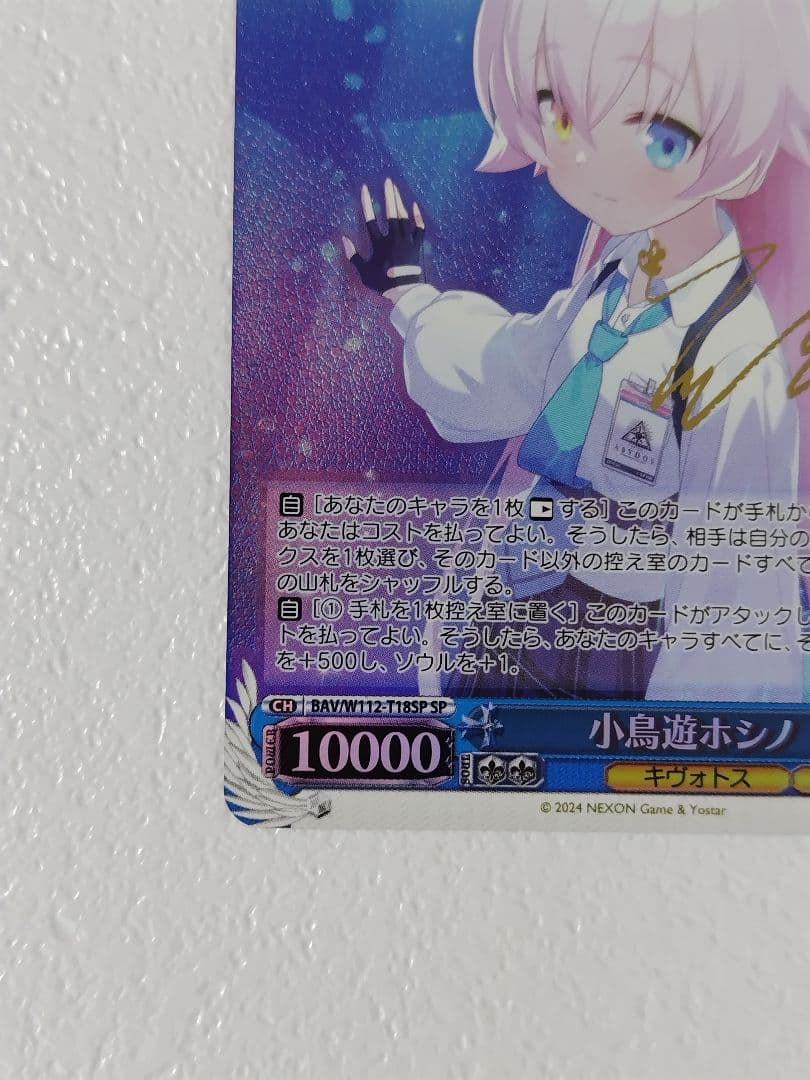 メルたか　ヴァイス　ブルーアーカイブ　　小鳥遊ホシノ　SP