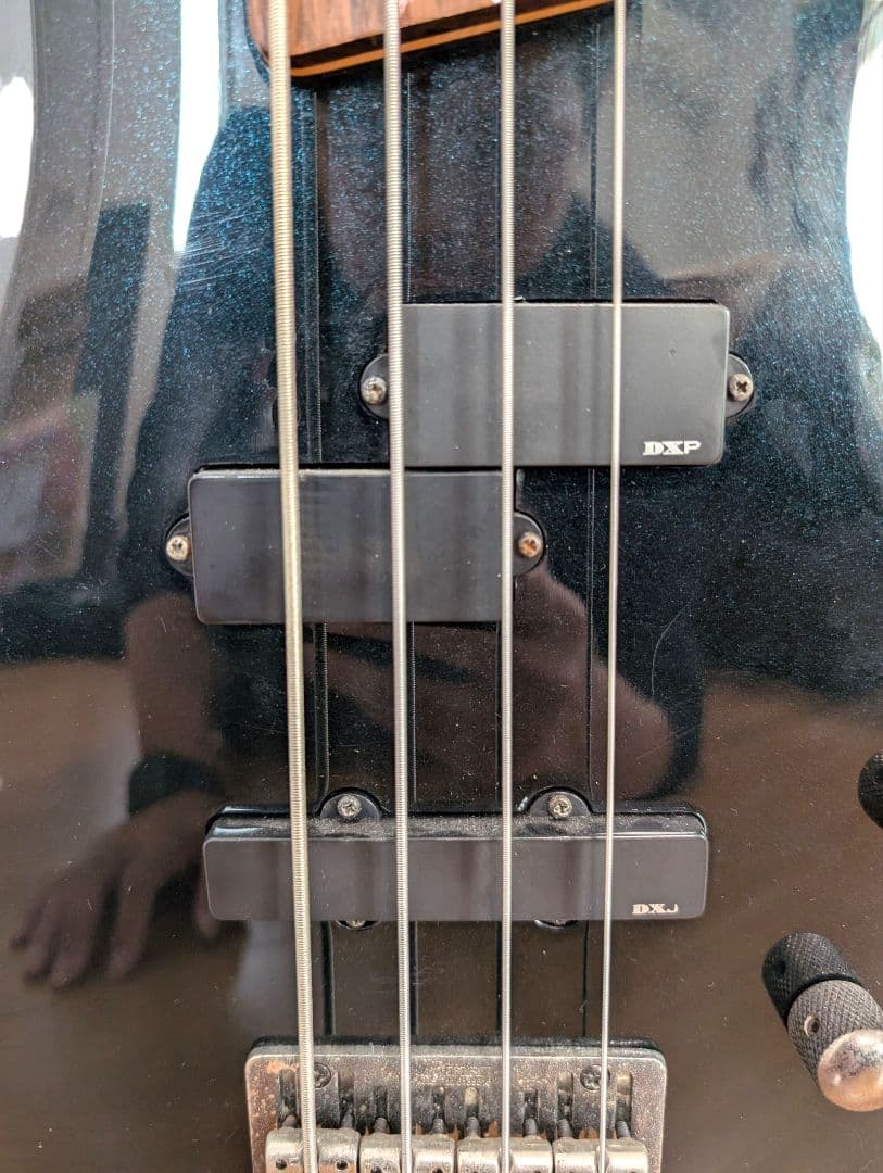 Ibanez SDGR SR350 SR-350 アイバニーズ ソフトケース付き