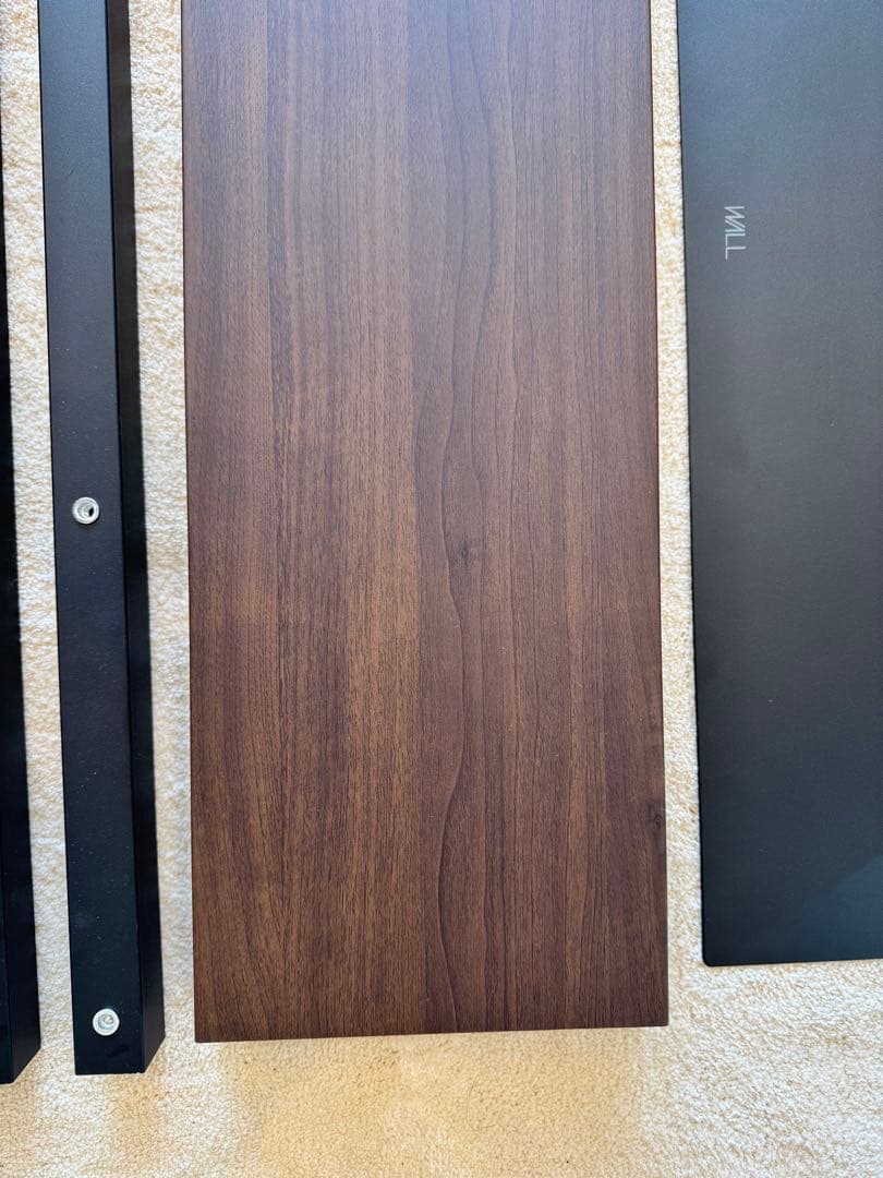 M*I様 【美品】WALL V3 ハイタイプ SW (首振りタイプ) 2025年