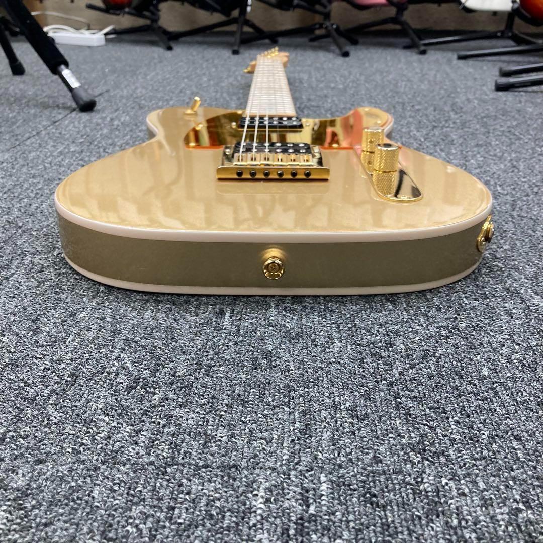 【9801】 True Temperament fretting system