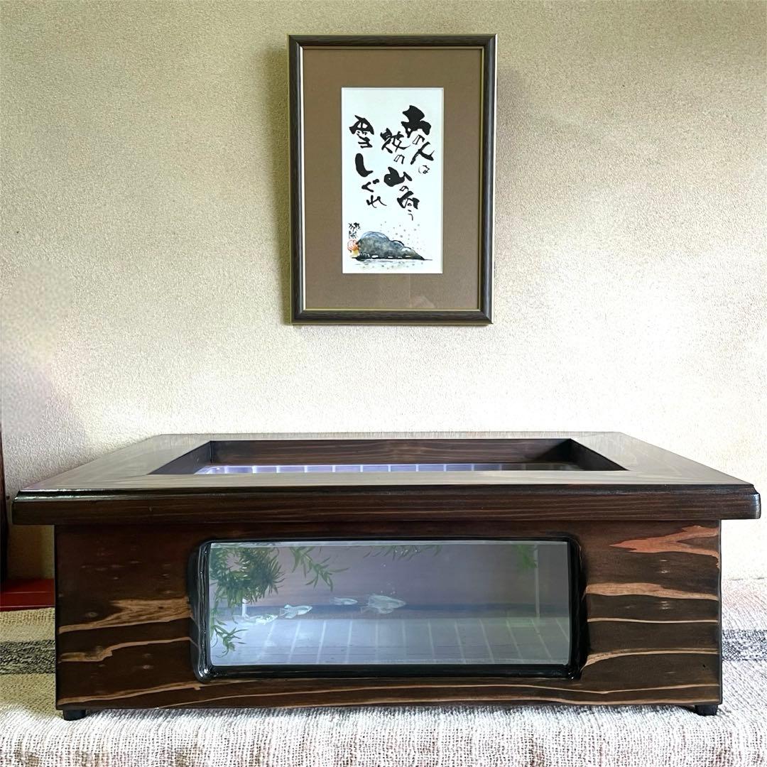 新作 NV13BOX専用 横見木枠 横見ケース メダカ めだか ビオトープ