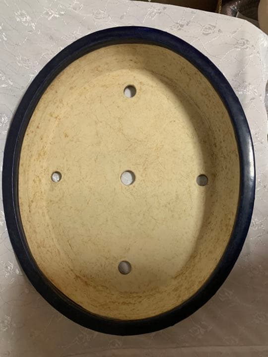 鴻陽　大きめ鉢