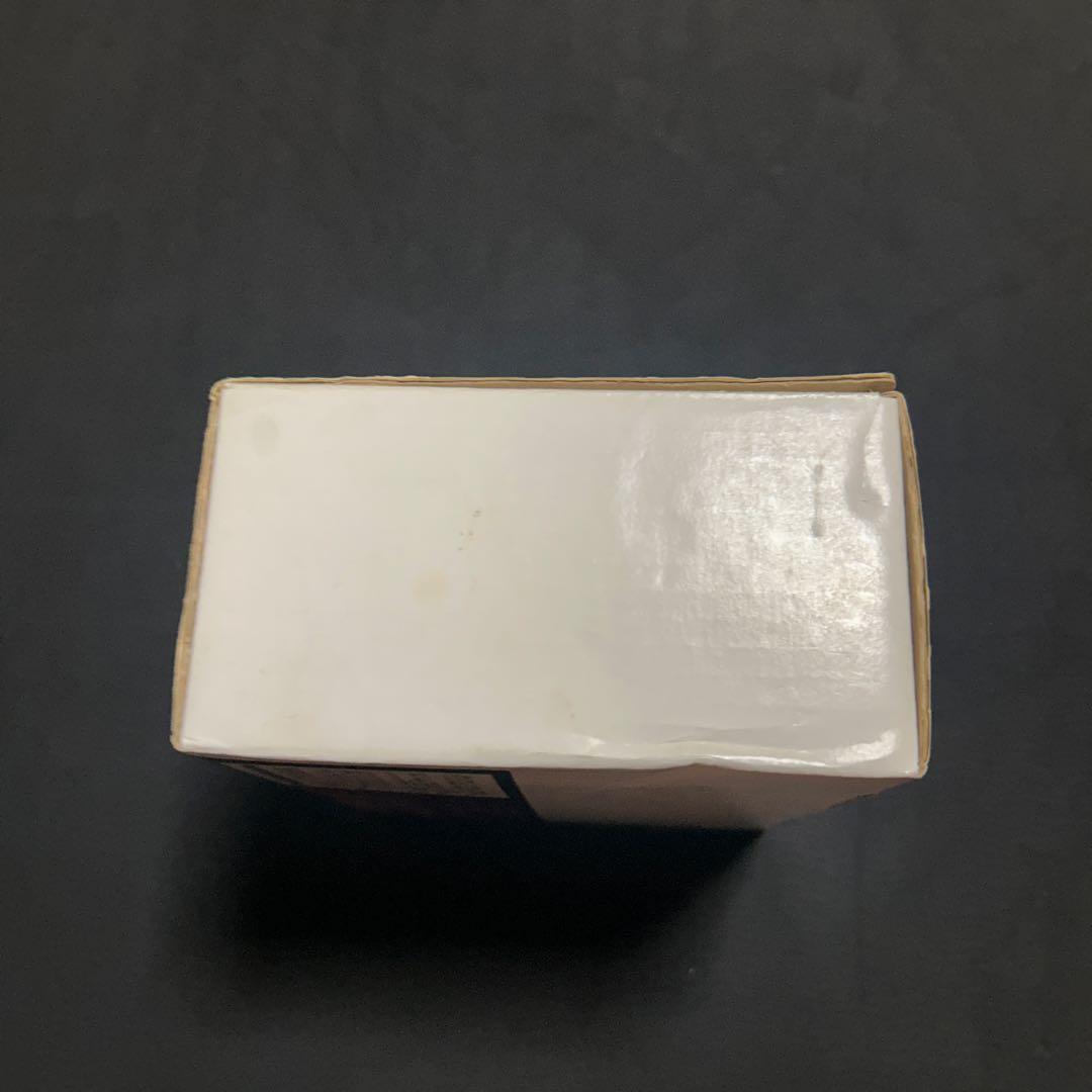 エヴァンゲリオン　綾波レイ　レジンキット