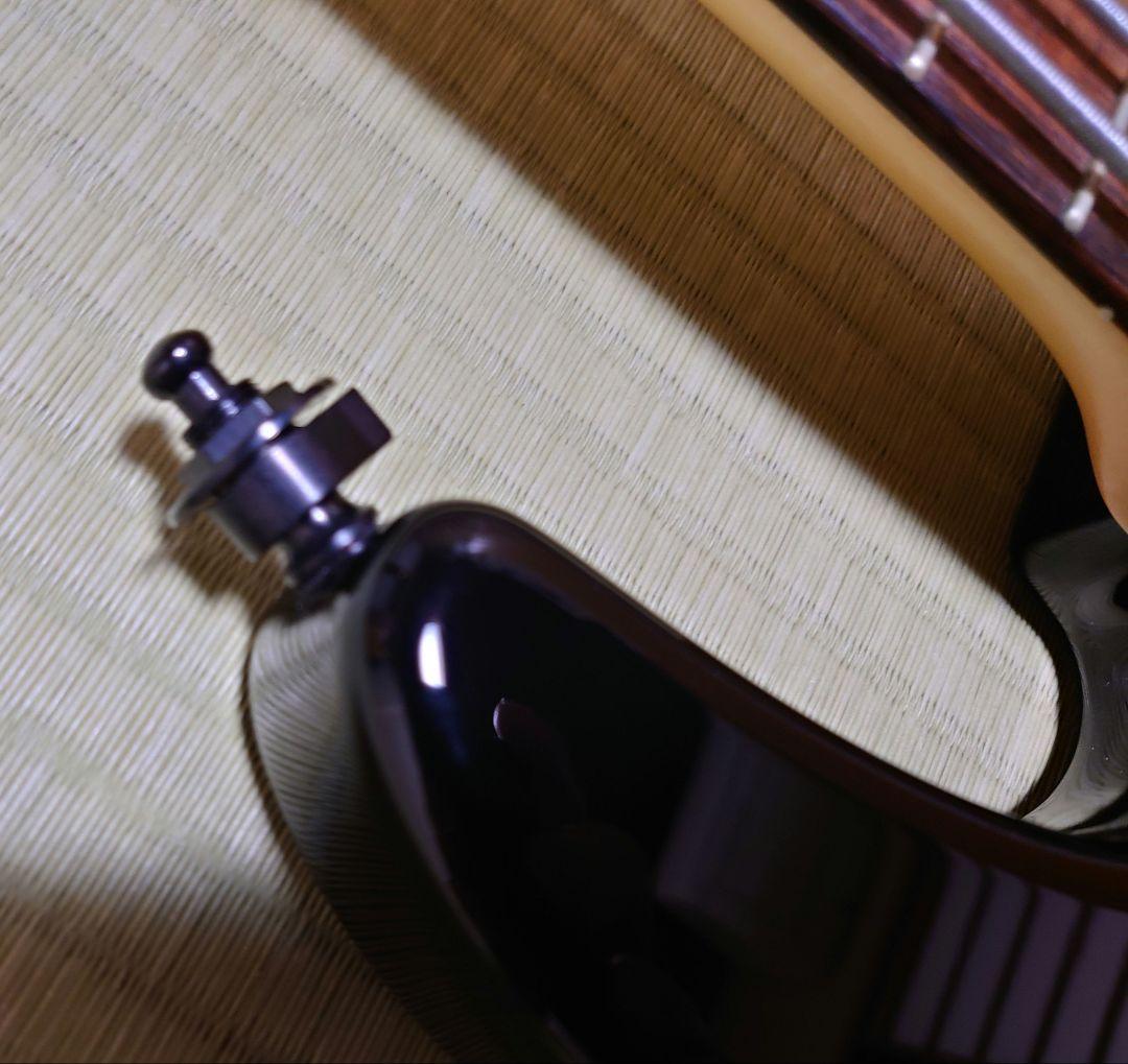 ESP AP-SL5 5弦ベース ESP純正ソフトケース(GIG BAG)付き