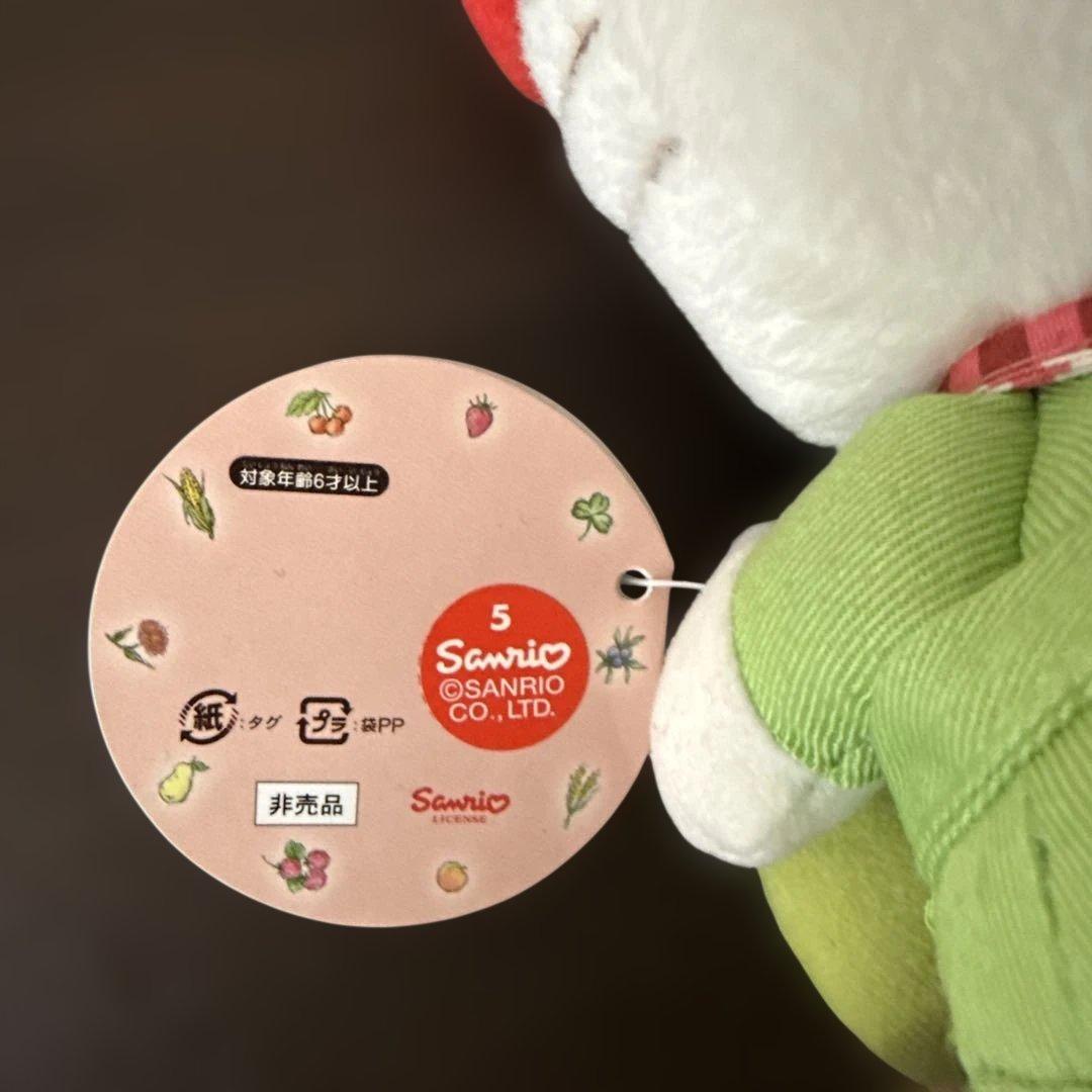 A*い様 サンリオ　ハローキティ　2004年　キティの散歩道　ぬいぐるみ　メロン