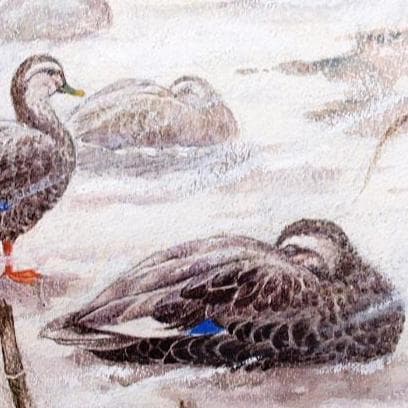 絵画「凍てつく朝」　水彩画