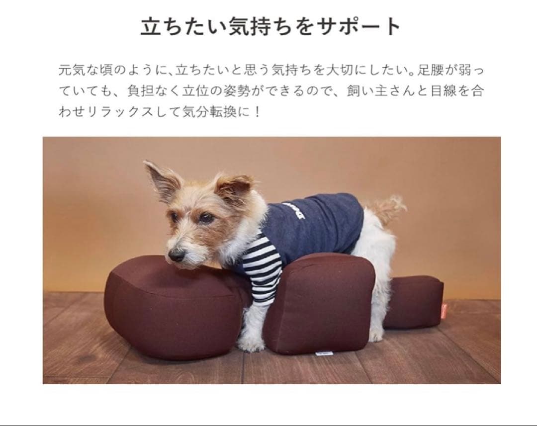 OneAid リラクッション Mサイズ　ブラウン