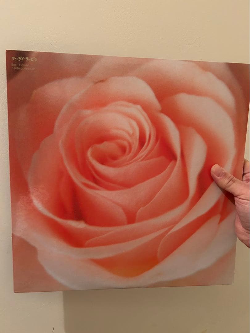 サニーデイ・サービス BEST FLOWER レコード　レア盤　曽我部恵一