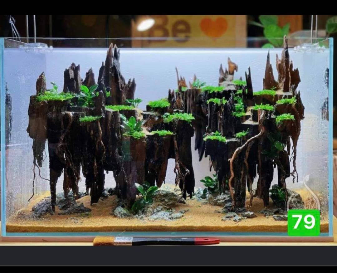 ブランチウッド　．水草用の 流木。流木アクアリウム　. パルダリウム　盆栽流木