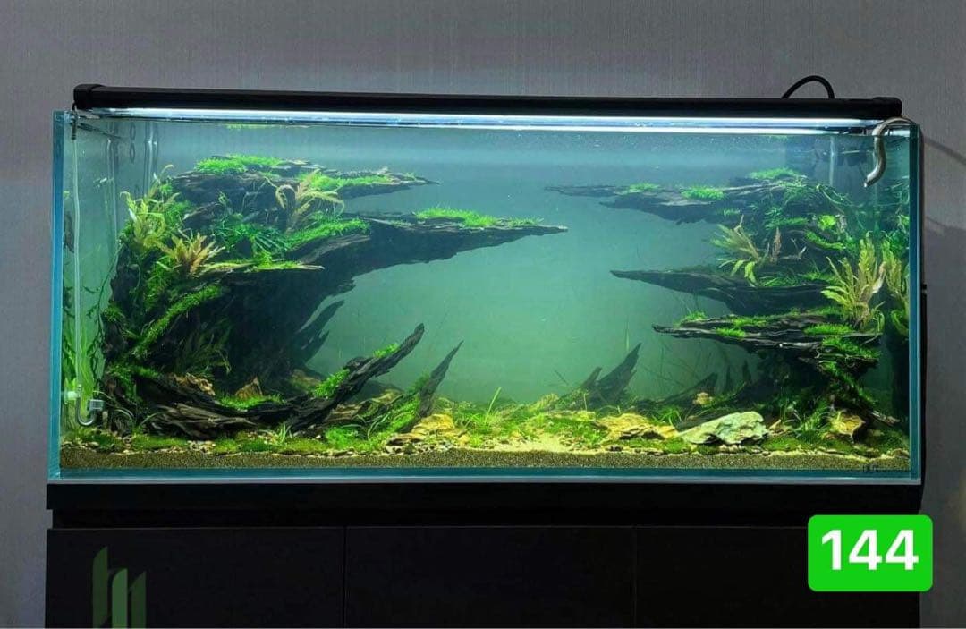 ブランチウッド　．水草用の 流木。流木アクアリウム　. パルダリウム　盆栽流木