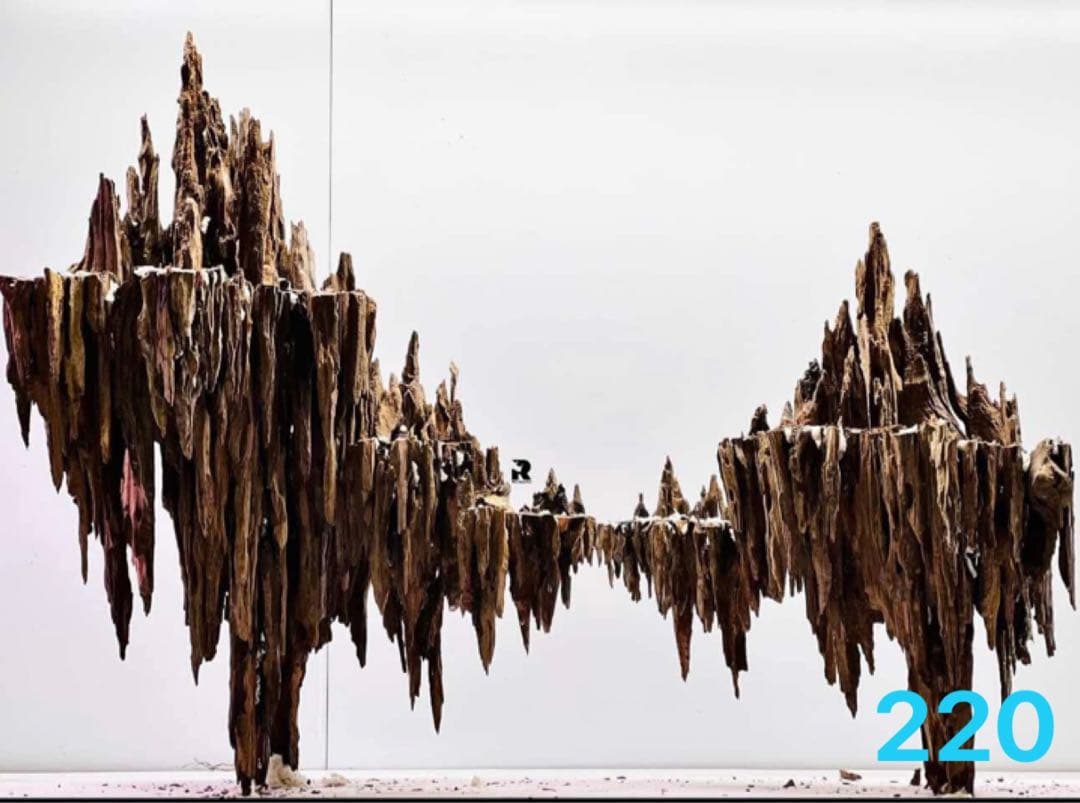 ブランチウッド　．水草用の 流木。流木アクアリウム　. パルダリウム　盆栽流木