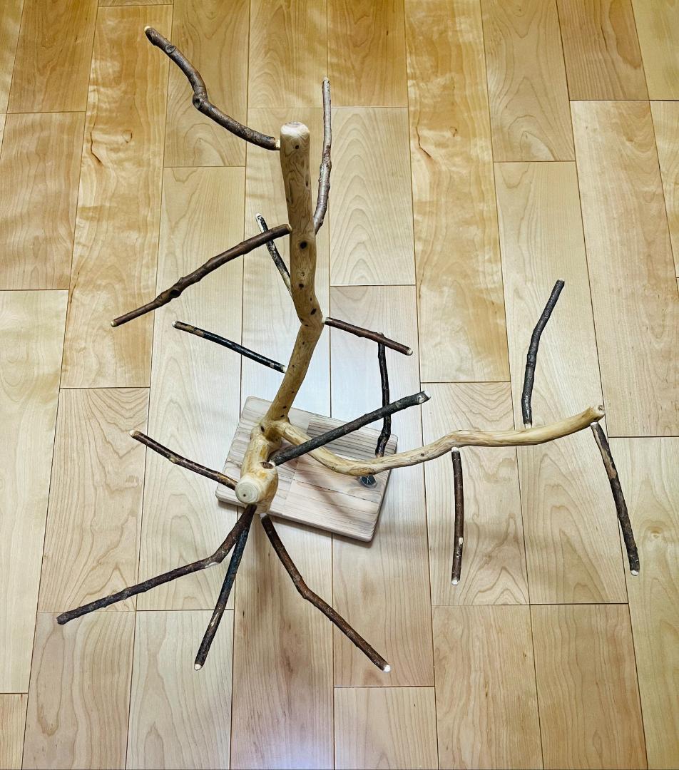 【小鳥さん用】天然木セイヨウズ♬森のバードスタンド