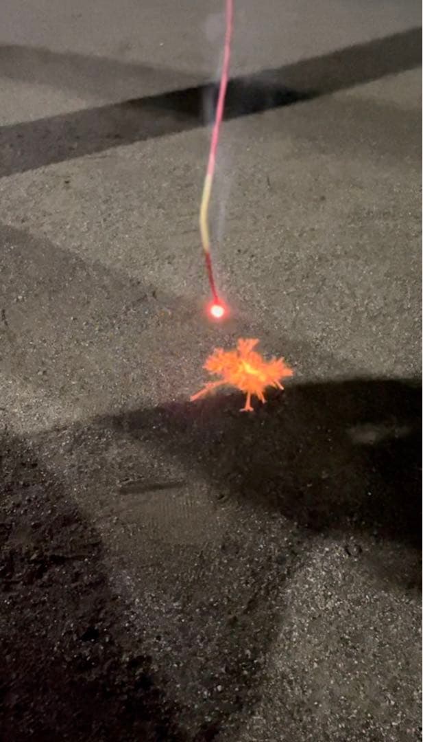 三河牡丹　線香花火