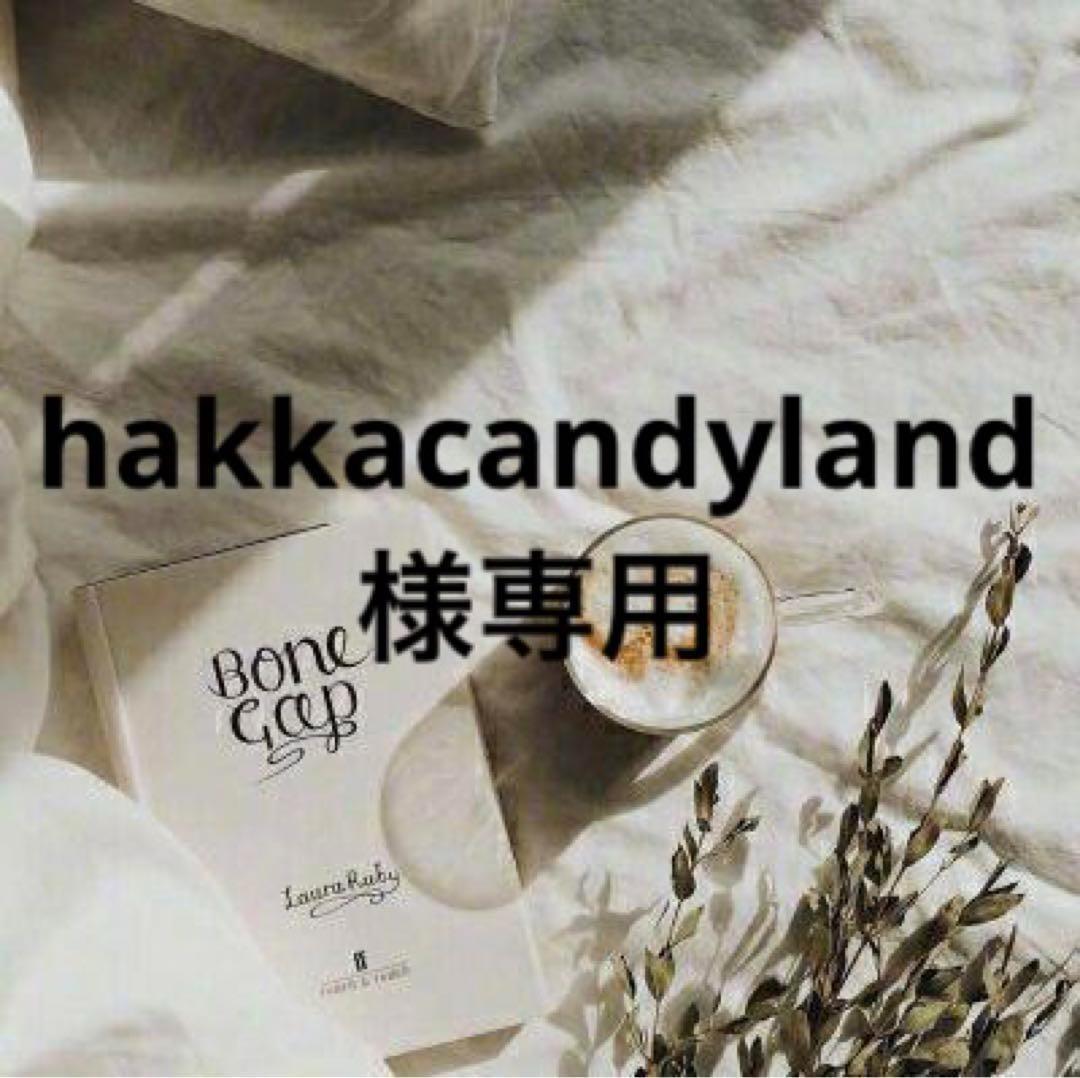 テープ・マスキングテープ hakkacandyland 0118