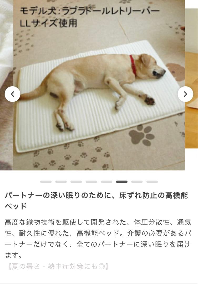 ホームナース pet LLサイズ 床ずれ防止