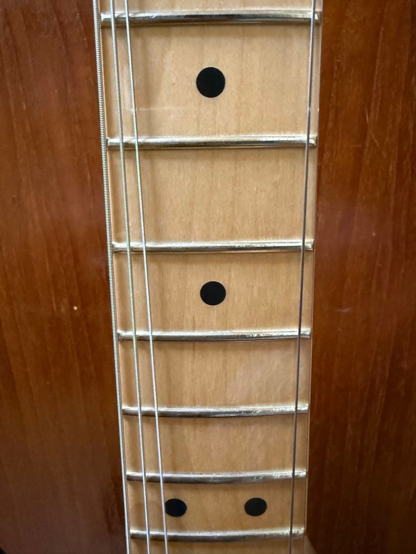 Fender PlayerStratocaster2022年製純正ソフトケース付