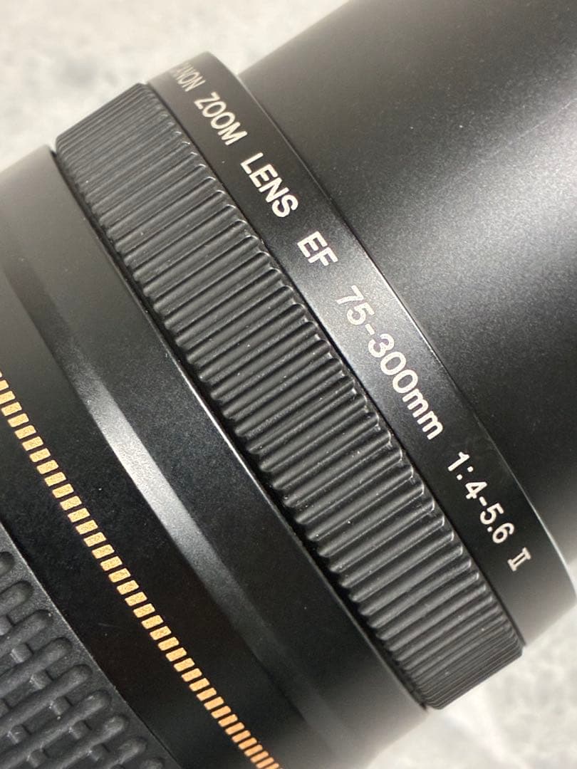 ⭐️美品⭐️Canon EF75-300mm F4-5.6 II USM 望遠レンズ