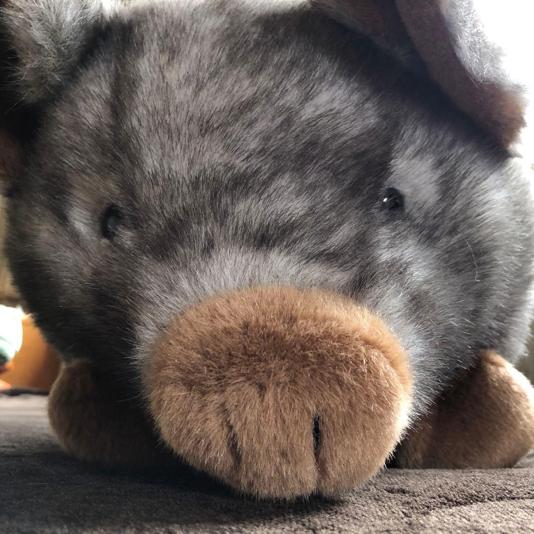 トイザらス　animal alley ぶた　約68cm×34cm×30cm