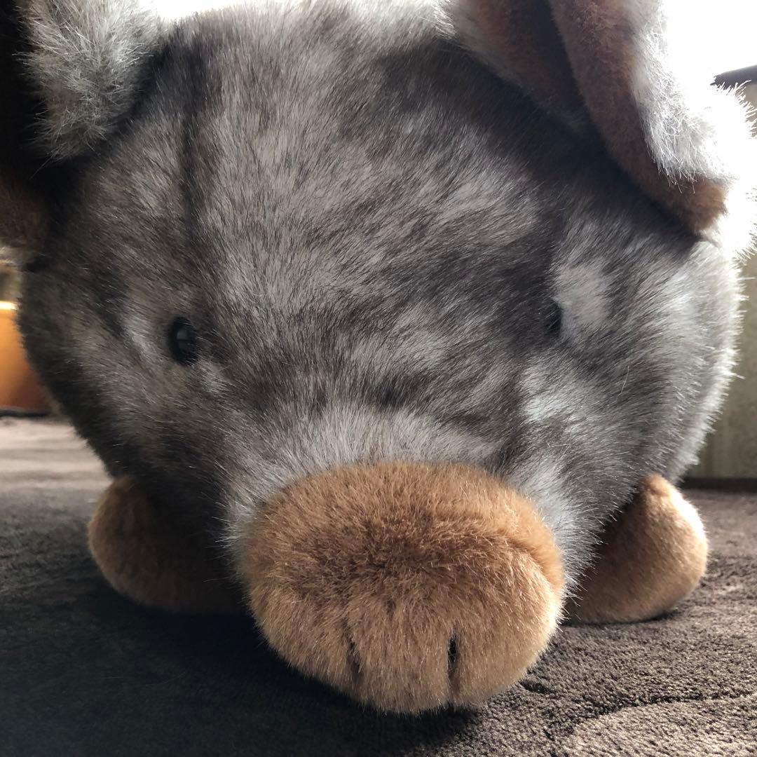 トイザらス　animal alley ぶた　約68cm×34cm×30cm