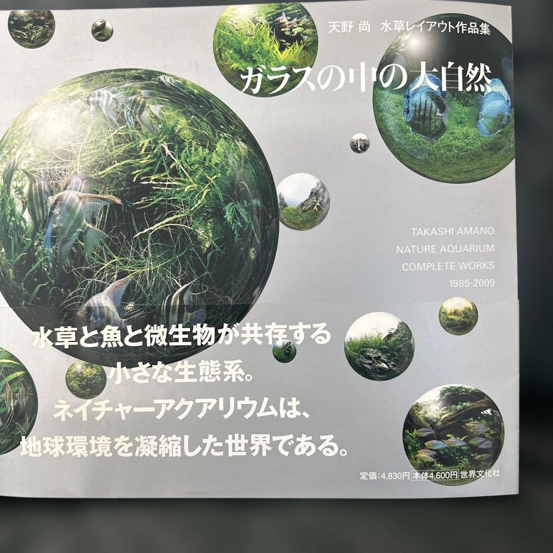 ガラスの中の大自然 天野尚