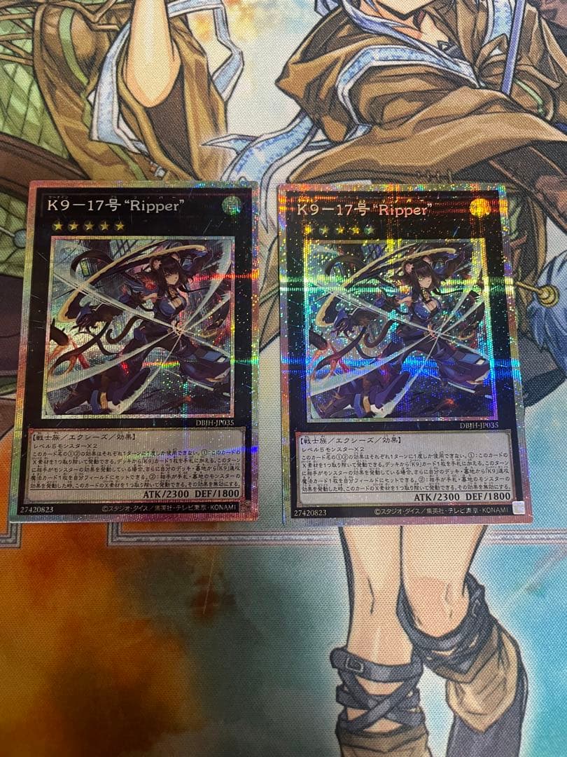 K９－１７号 Ripper　プリズマ2枚セット