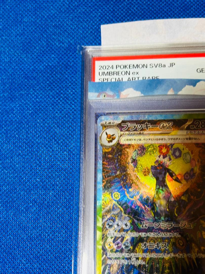 PSA10 ブラッキーex SAR テラスタルフェスex