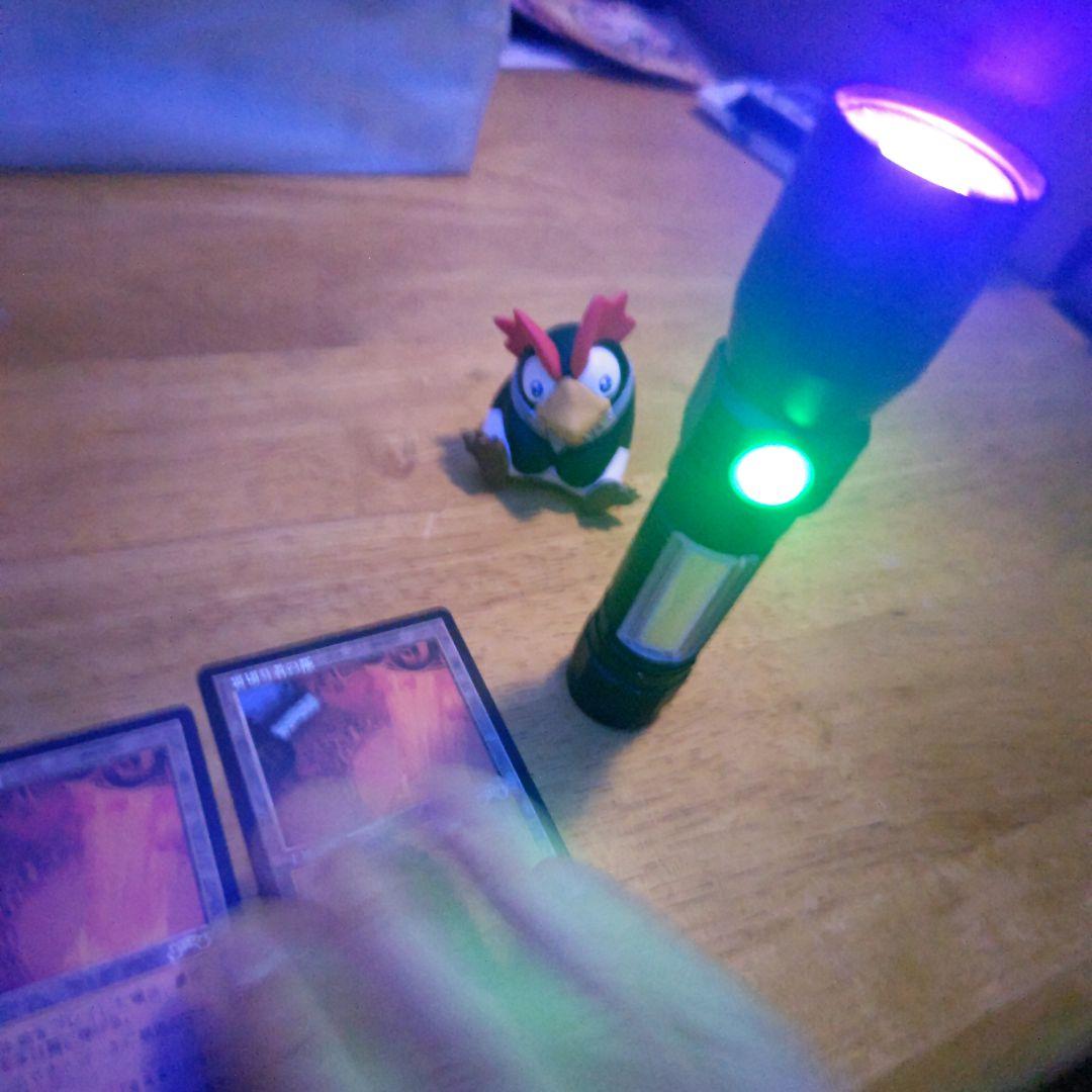 【断捨離】MTG 裏切り者の都 JP 2枚