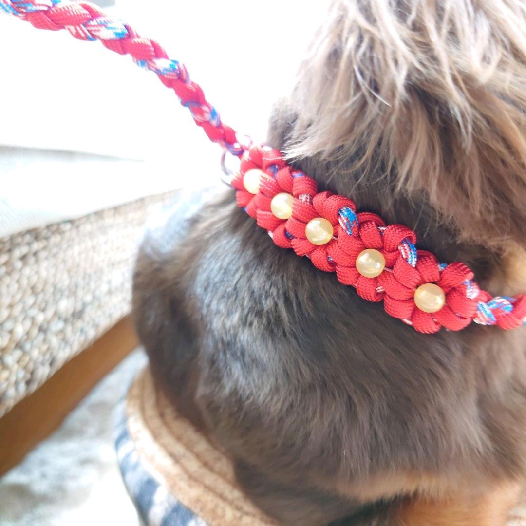 パラコードリード　スリップリード　首輪一体型リード　バラ　№023