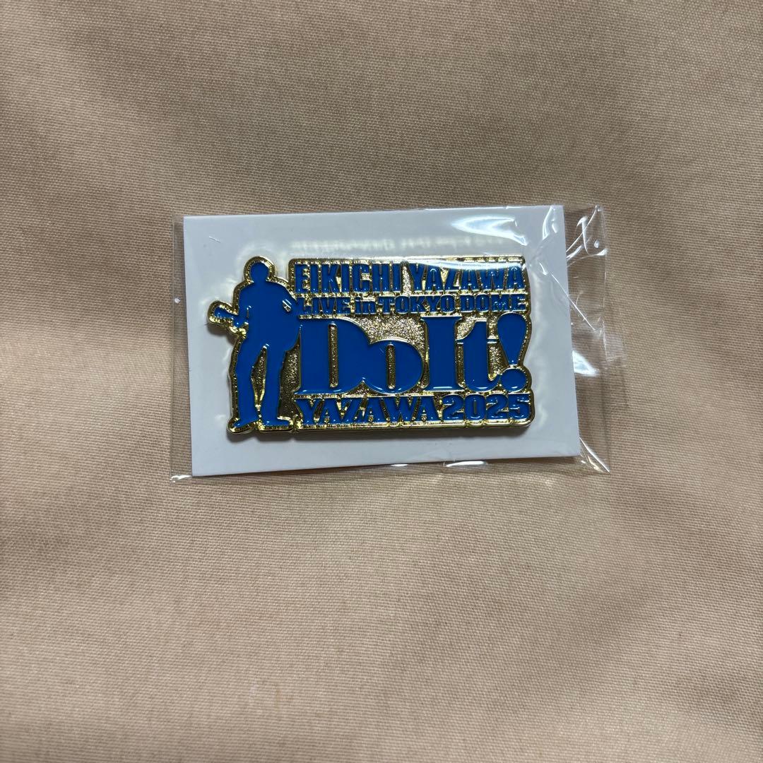 矢沢永吉 2025 東京ドーム PSS席　非売品　限定グッズ　ビーチタオル