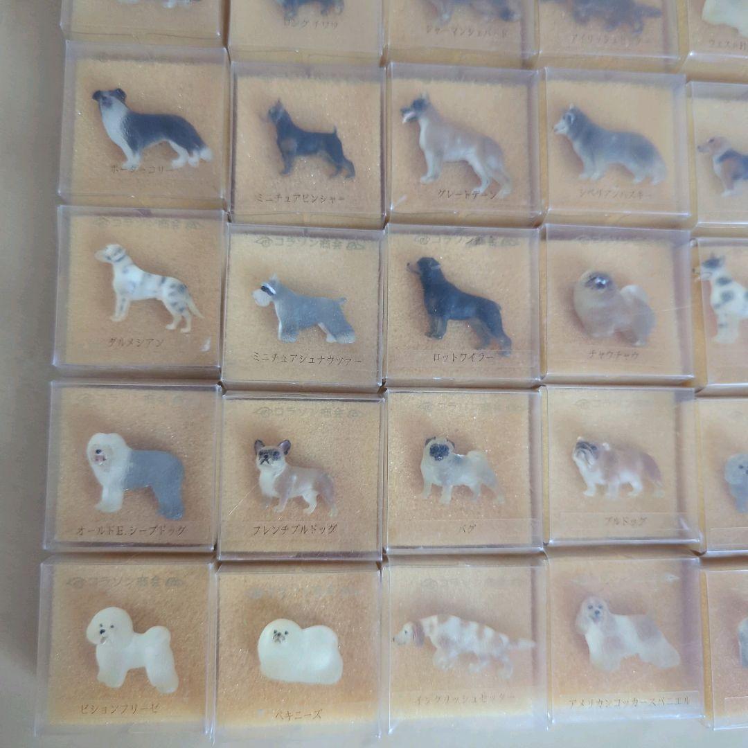 コラソン商会　犬シリーズ　犬　バッジ　犬ピンバッジ　まとめ売り　30個
