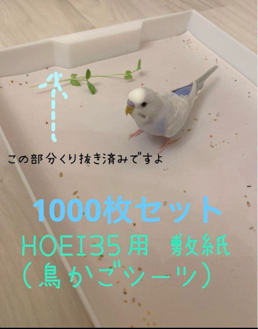 HOEI35用 鳥かご敷紙 1000枚セット
