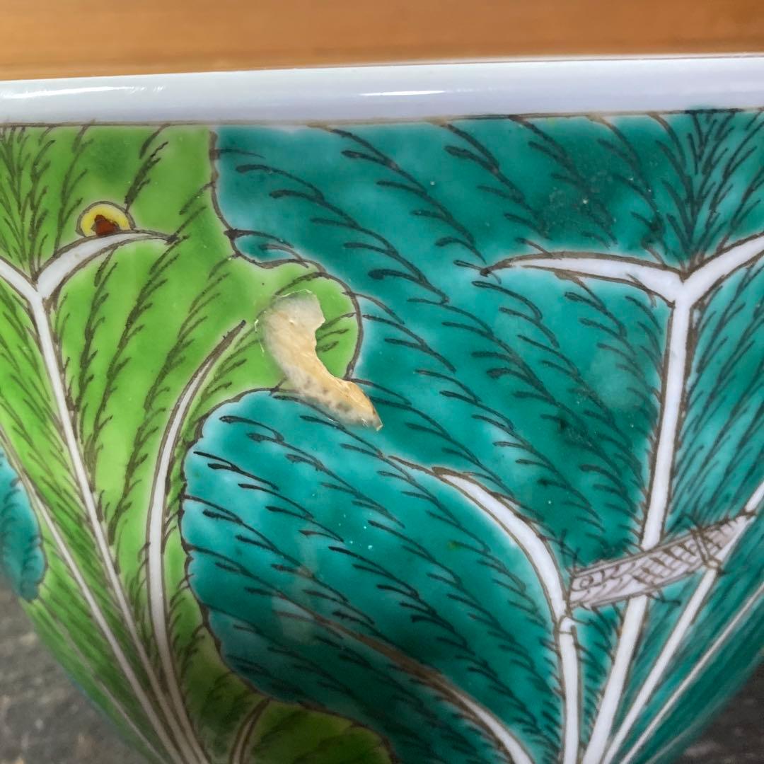 中国古玩　春白菜図水蓮鉢