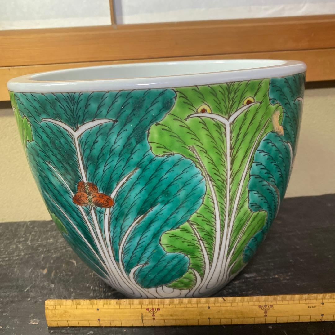 中国古玩　春白菜図水蓮鉢