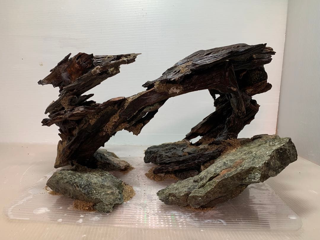 TTD 【ぎん様⭐︎】【美品・数量限定】